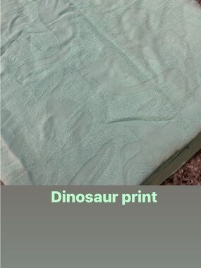 Tula baby Mint Green Dinosaur Print blanket
